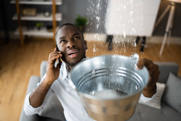 Best Residential Water Damage Restoration in Kirkland, WA