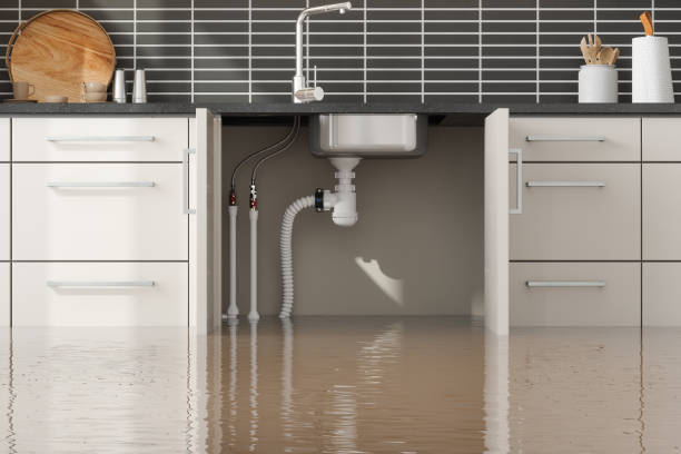  Kirkland, WA Water damage restoration Pros